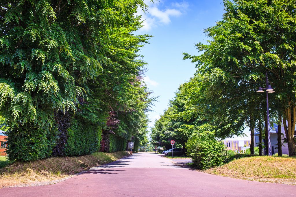 Voirie Parc Éco-Normandie